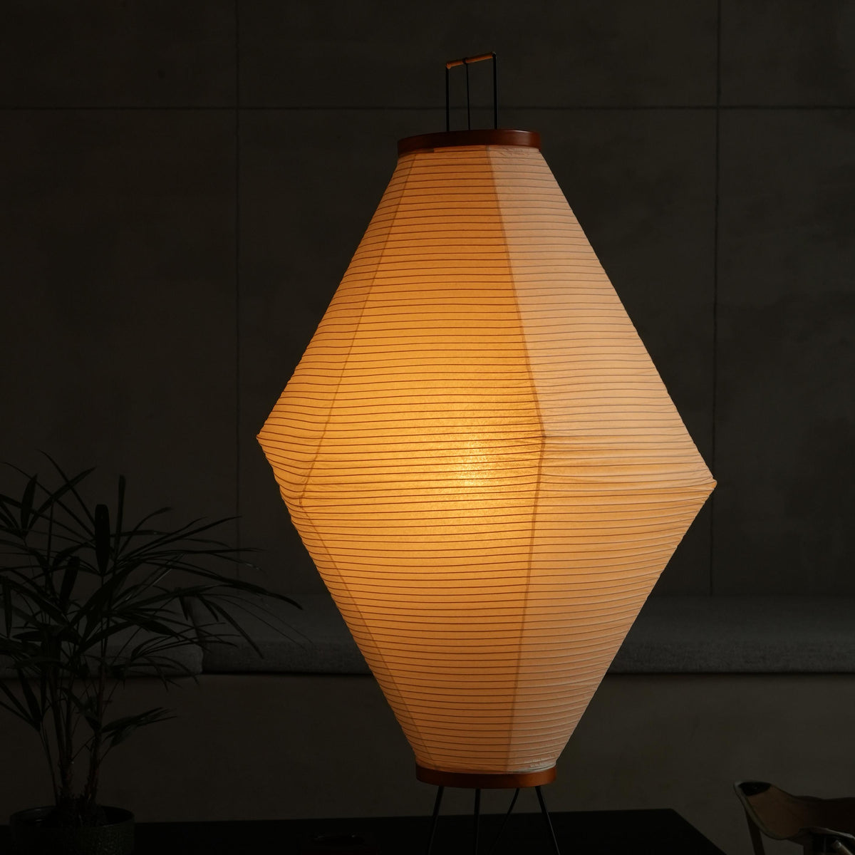 Classic Edition: Eco-Friendly