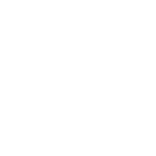 Captains Bamboo logo